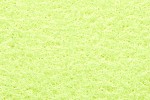 FLUORESCENTE