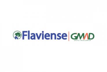 Flaviense